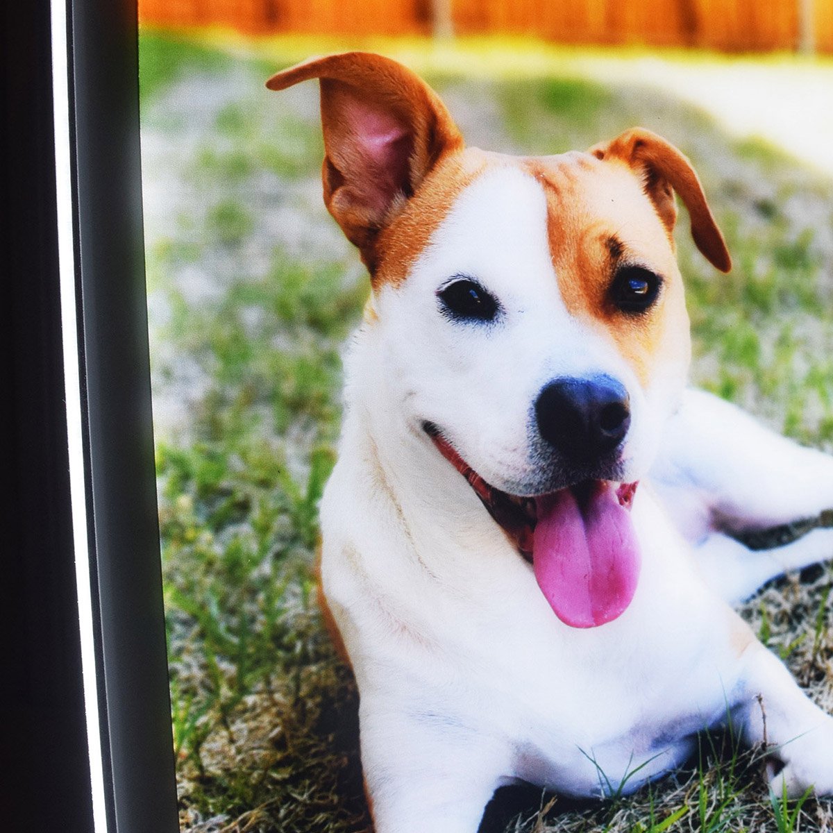 Custom Pet Memorial Night Light Gift Personalized Dog Cat Acrylic Plaque Photo Light - Image 8