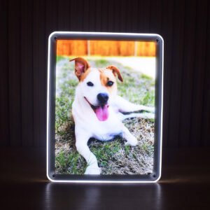 Custom Pet Memorial Night Light Gift Personalized Dog Cat Acrylic Plaque Photo Light