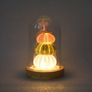 Sea Urchin Lamp (three-layer style)