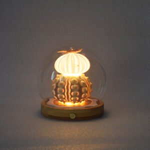 Sea Urchin Lamp (two-layer style)